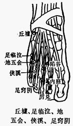 地陰|醫砭 » 經穴庫 » 地機